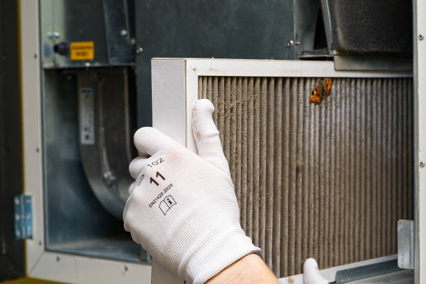 Best Professional Duct Cleaning Services  in Mcmechen, WV